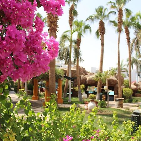 Herrmes Hospitality Σαρμ Ελ Σέιχ Εξωτερικό φωτογραφία